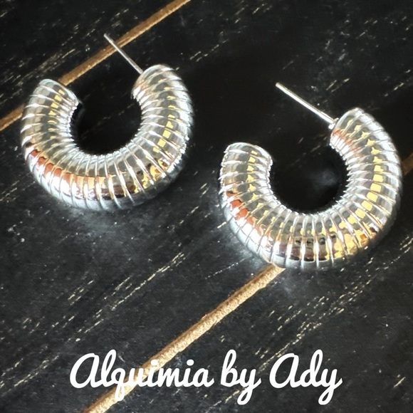 Alquimia Silver Ribbed Crescent Earrings - Picture 1 of 1